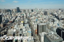 屋上