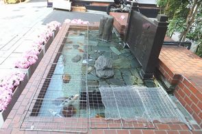 2014/04/16 正面玄関の池について1